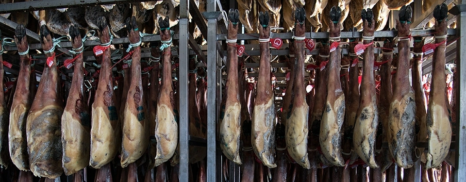 THE QUALITY IN OUR HAMS